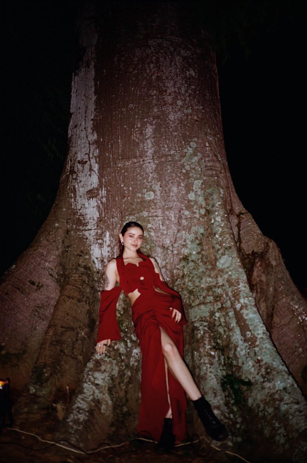 Hortensia  red wine dress